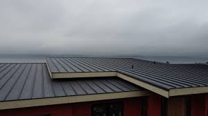 Fast & Reliable Emergency Roof Repairs in India Hook, SC